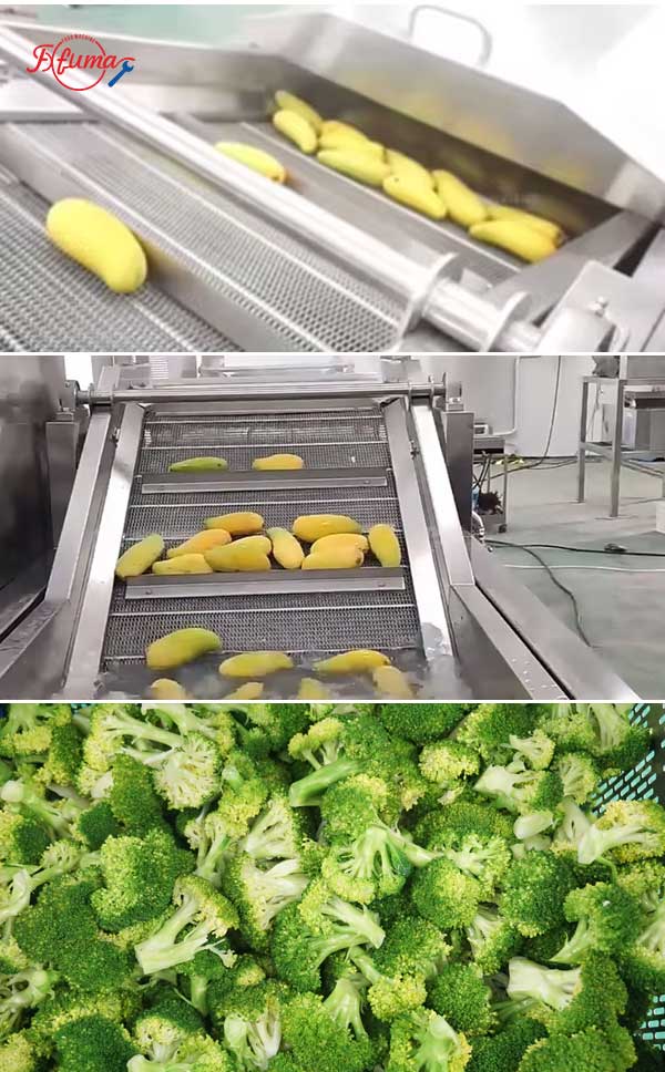 Food Grade Mango Hot Water Treatment Fruit Blanching Machine PT-1000