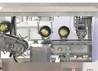 3-in-1 Automatic Pineapple Peeling, Eye Removing and Ends Cutting Machine