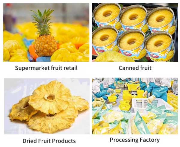 3-in-1 Automatic Pineapple Peeling, Eye Removing and Ends Cutting Machine