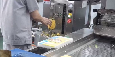 Customizable Vegetable and Fruit Juice Pre-Processing Line