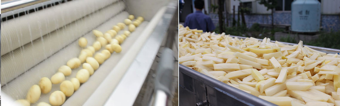 Root and Tuber Vegetable Processing Procedures | Complete Mechanical Processing Lines for Long and Round Root Vegetables