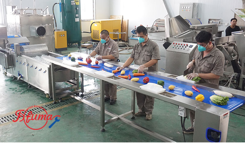 Manual Sorting Table for Food Processing | Custom Size
