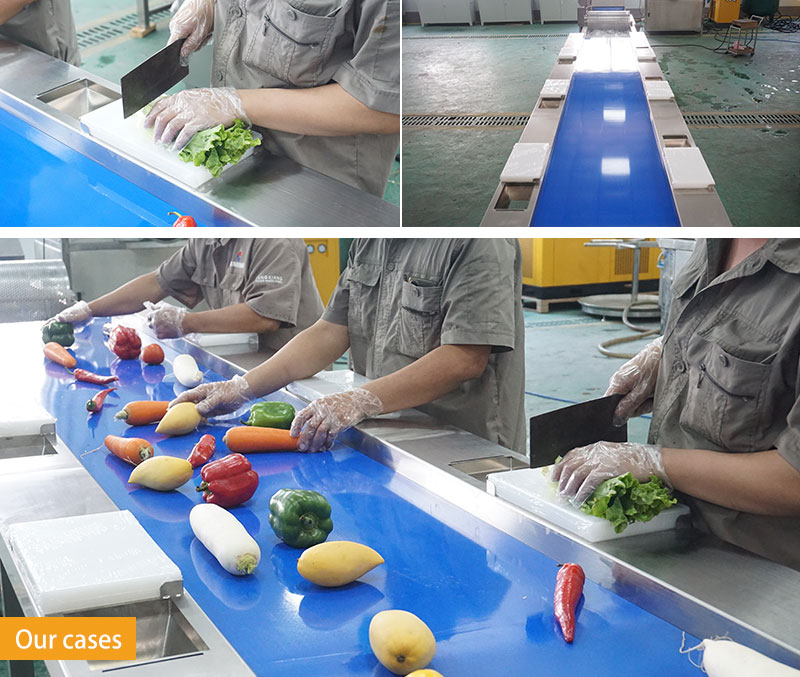 Manual Sorting Table for Food Processing | Custom Size
