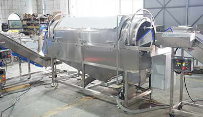 Blueberry Processing Line – Gentle Berry Washing Machine System