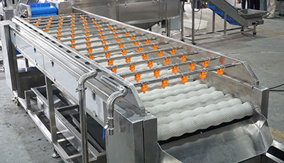 Blueberry Processing Line – Gentle Berry Washing Machine System