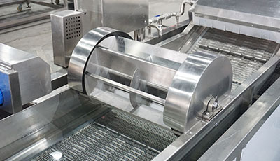 Blueberry Processing Line – Gentle Berry Washing Machine System