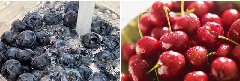 Blueberry Processing Line – Gentle Berry Washing Machine System