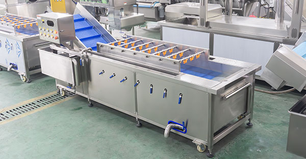 Efficient Berry Washing and Processing Line