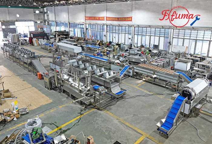 3-in-1 Taro Processing Line Trial Run | Taro
