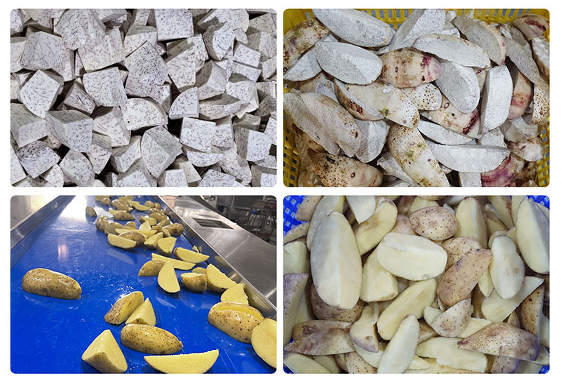3-in-1 Taro Processing Line Trial Run | Taro