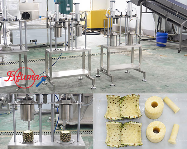 Semi-Automatic Pineapple Processing Line for Pineapple Rings