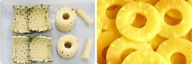Semi-Automatic Pineapple Processing Line for Pineapple Rings