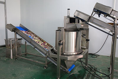 Commercial Salad Kits Production Line - Cutter, Double Washer, Centrifuge