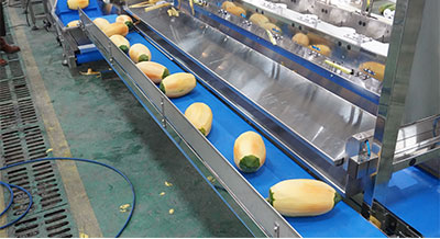 Multi-Head Papaya Peeling Machine