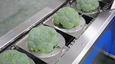 Broccoli