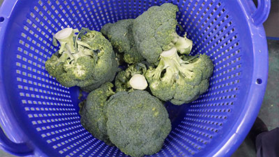 Broccoli