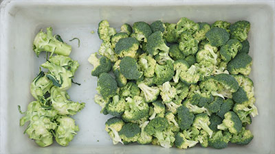 Broccoli