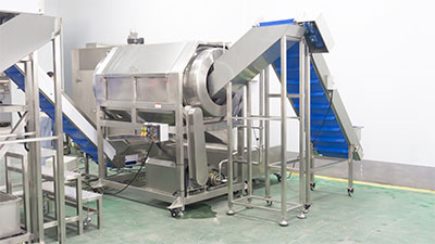 Turmeric Ginger Process Line - Washing, Peeling, Blanching, Cutting
