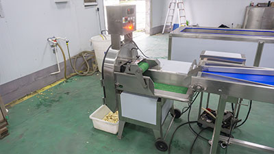 Turmeric Ginger Process Line - Washing, Peeling, Blanching, Cutting