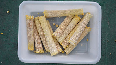 Small Scale Fresh Sweet Corn Process Line - Kernel Thresher, Blancher, Dewater Machine