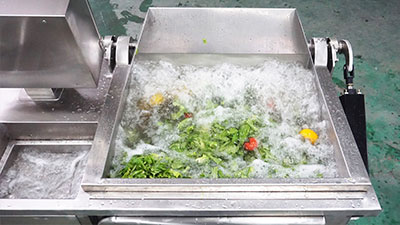 Auto-Discharge Fruit and Vegetable Bubble Washer Machine FXC-70