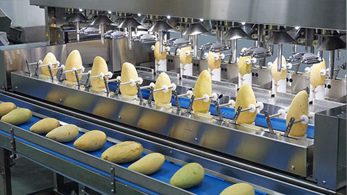 8/16 Heads Mango Peeling Machine