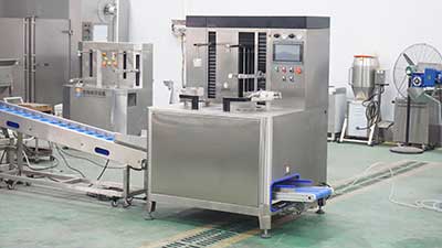 Manual and Automatic Pineapple Ring Processing Lines: Solutions for Different Processing Needs