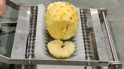 Manual and Automatic Pineapple Ring Processing Lines: Solutions for Different Processing Needs