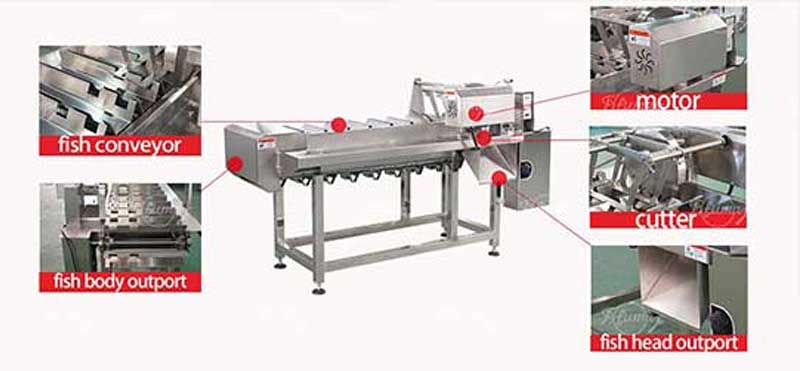 Fish head cutting machine fish sardine fish head cutter