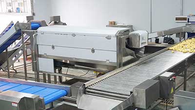 Potato Washing, Peeling and Air Drying Line, Root Vegetable Processing Solution
