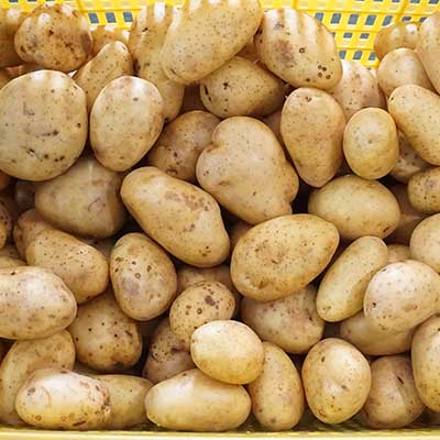 Potato Washing, Peeling and Air Drying Line, Root Vegetable Processing Solution
