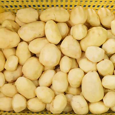 Potato Washing, Peeling and Air Drying Line, Root Vegetable Processing Solution