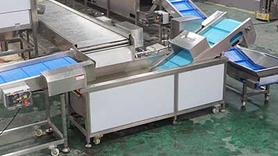 Customized Potato Washing Pre-Processing Line for Wholesale Sales