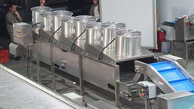 Customized Potato Washing Pre-Processing Line for Wholesale Sales
