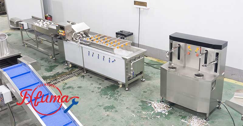 Customized Coconut Processing Line - Dehusking Peeling Washing