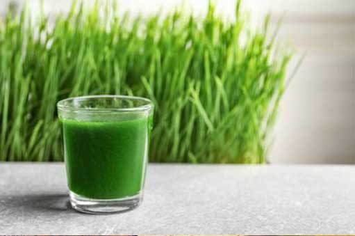 How to Process Leaf Juice at Industrial Scale: The Ultimate Guide for Beverage Manufacturers