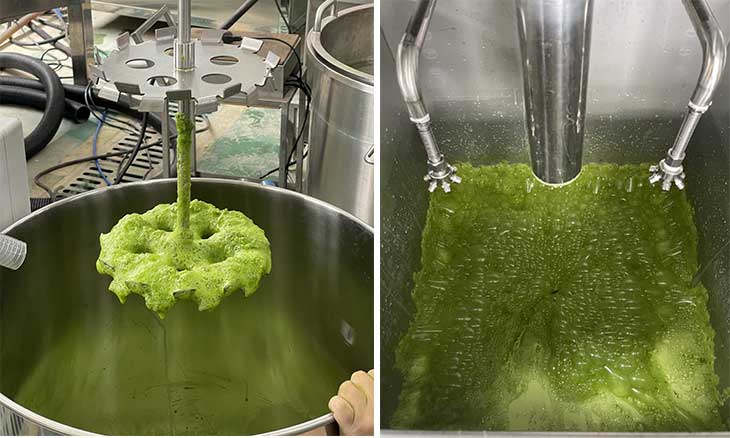 How to Process Leaf Juice at Industrial Scale: The Ultimate Guide for Beverage Manufacturers