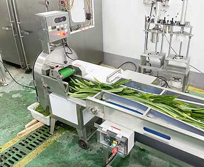 Herb / Wheatgrass / Pandan Leaf Process Line