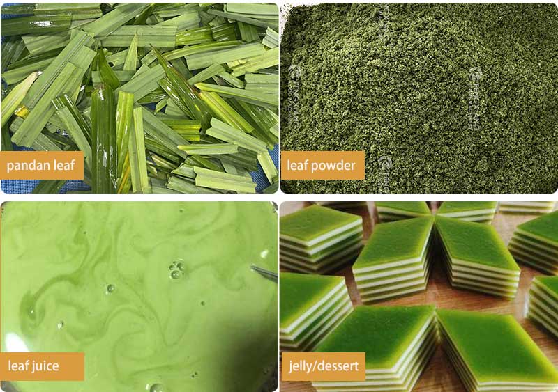 Herb / Wheatgrass / Pandan Leaf Process Line