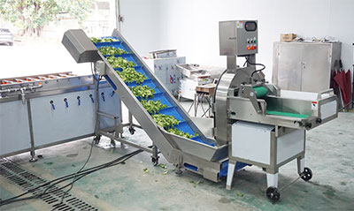 Salad and Leavy Vegetable Cutting Washing Drying Machine
