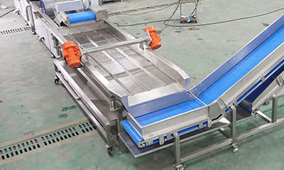 Salad and Leavy Vegetable Cutting Washing Drying Machine