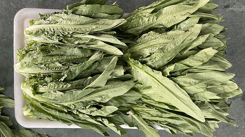 Salad and Leavy Vegetable Cutting Washing Drying Machine