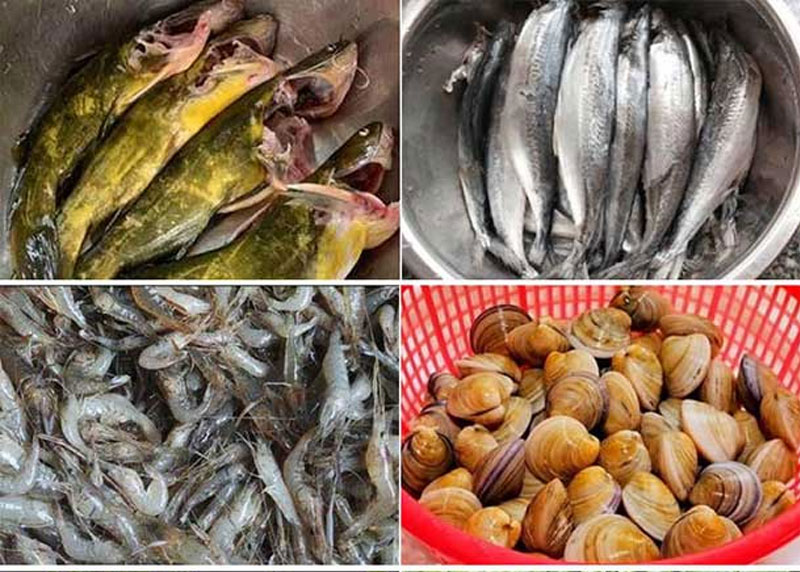 FXC-70 Flip-Type Shrimp Fish Defrosting and Cleaning Machine