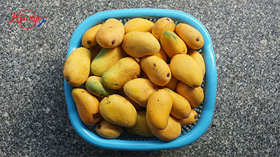 Orange Mango Fruit Pluping Machine in food industry