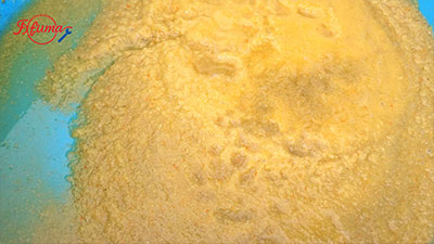 Orange Mango Fruit Pluping Machine in food industry