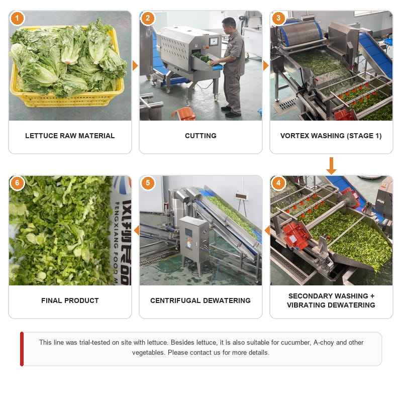 Ready-to-Cook Vegetable Processing Line 1-3 T/H
