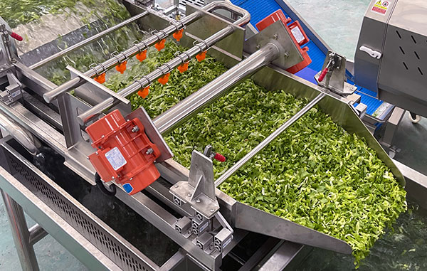 Ready-to-Cook Vegetable Processing Line 1-3 T/H