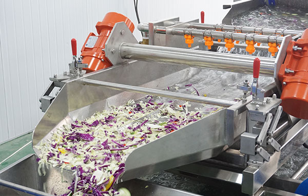 Ready-to-Cook Vegetable Processing Line 1-3 T/H